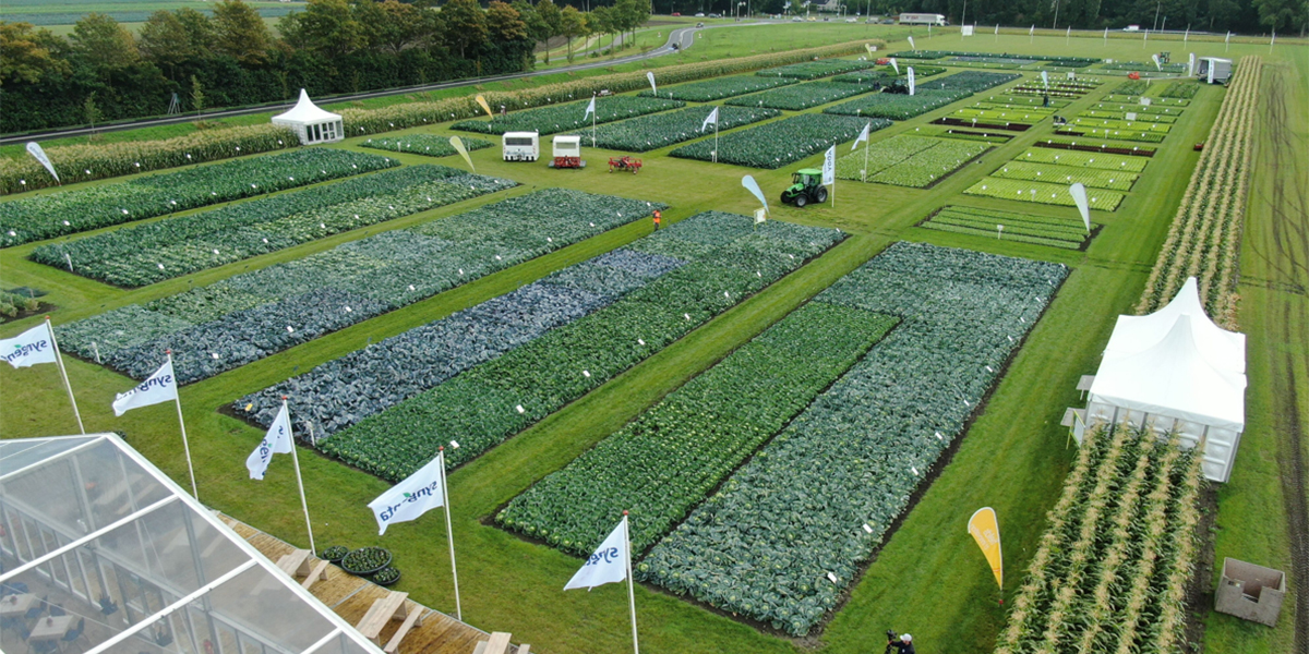 Syngenta Vegetable Seeds celebra i 25 anni di Fields of Innovation